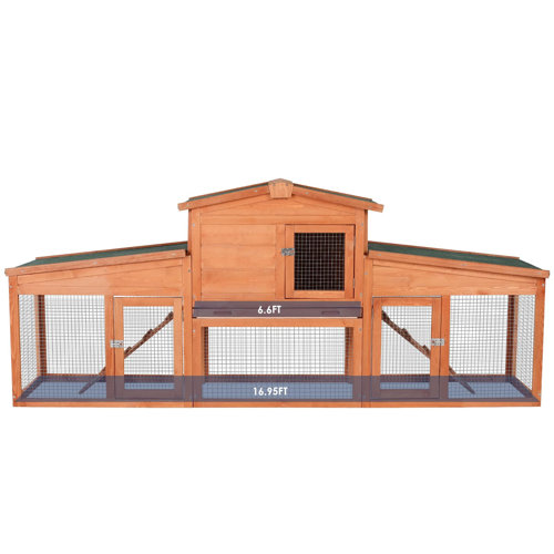 Tucker Murphy Pet™ Calliah Weather Resistant Small Animal Hutch with Ramp & Reviews Wayfair